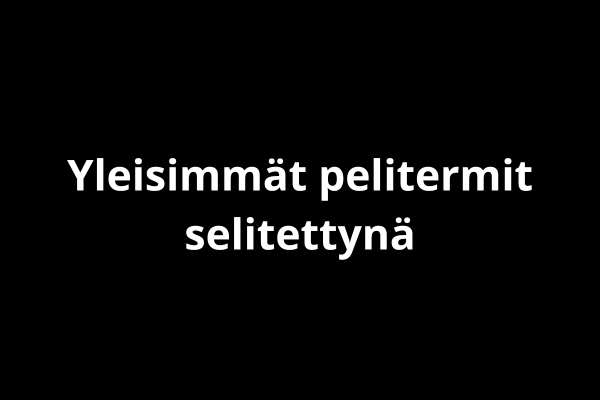 Yleisimmät pelitermit selitettynä